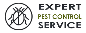 Pest Control Exterminator Bellevue WA
